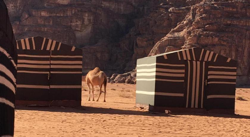 Wadi Rum Desert Heart Camp Exteriér fotografie